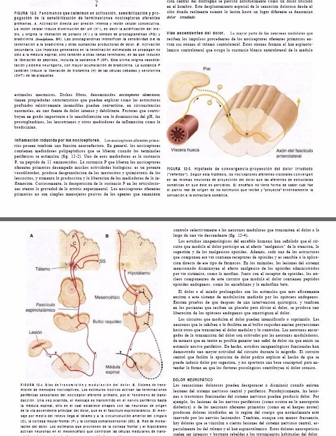 Medicina familiar