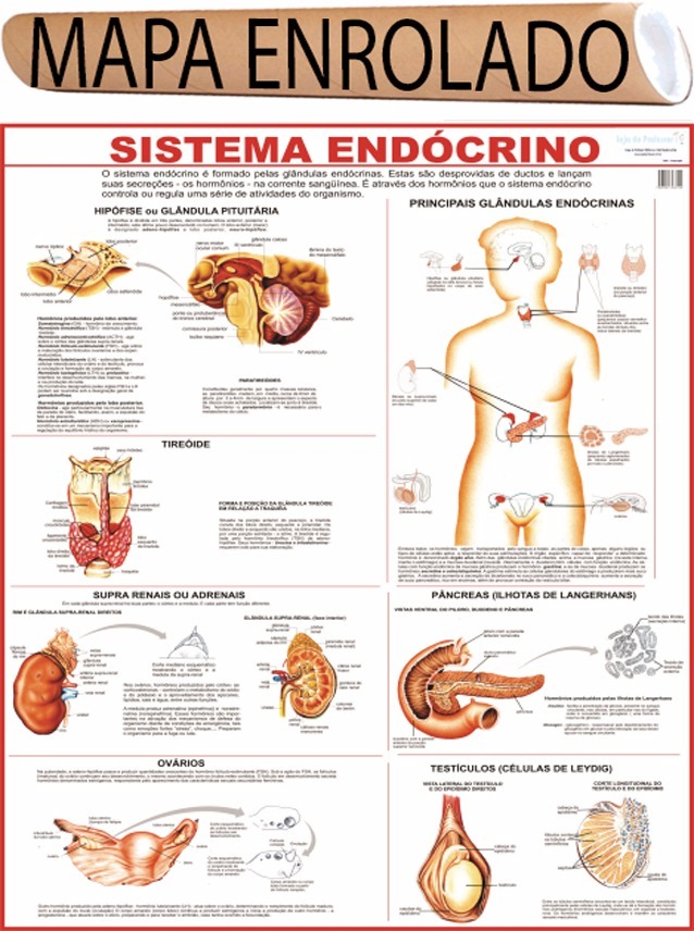 Livro fisiologia