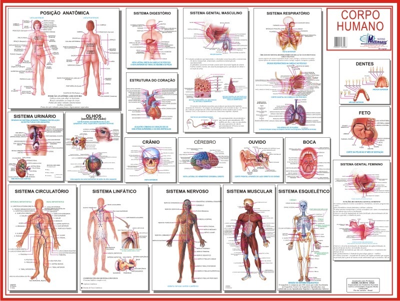 Livro de fisiologia humana