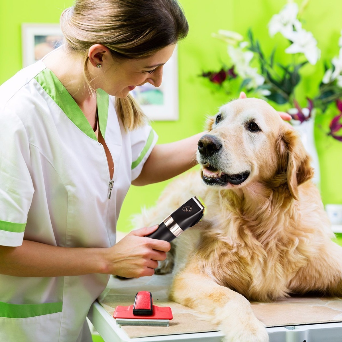maquina para cortar pelo de perro maquina para cortar pelo de perro kit omorc enviogratis maquina para cortar pelo de perro maquina para cortar pelo de perro kit omorc enviogratis