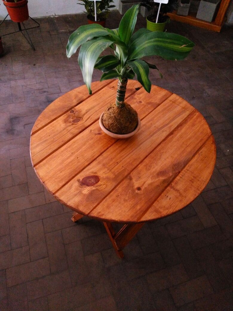 Restaurar Mesa De Madera Barnizada De Oliva De Teca De Linaza O ~ Restaurar Muebles De Madera Barnizados Restaurar Mesa De Madera Barnizada De Oliva De Teca De Linaza O ~ Restaurar Muebles De Madera Barnizados