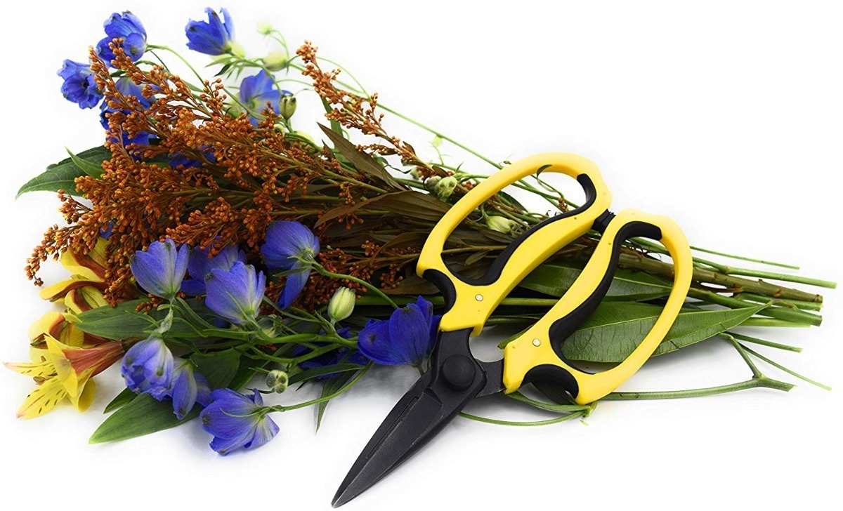Tijeras florales de grado profesional Micman