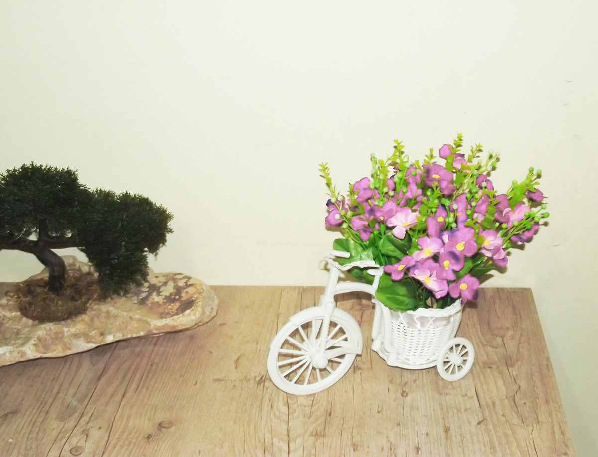 Mini Bicicleta S/ Flores - Vasos Enfeites Decoração