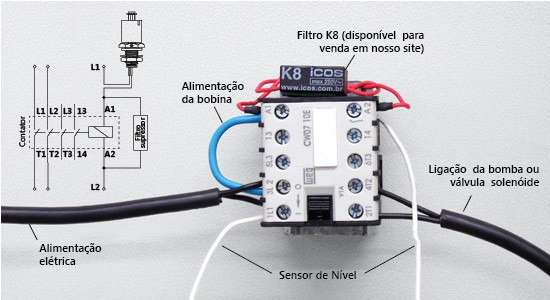 Remédios de gente por aumento em um gengibre de potência