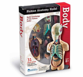 Realista Modelo Armable Anatómico B4u Cuerpo Humano 4jc35ARLq