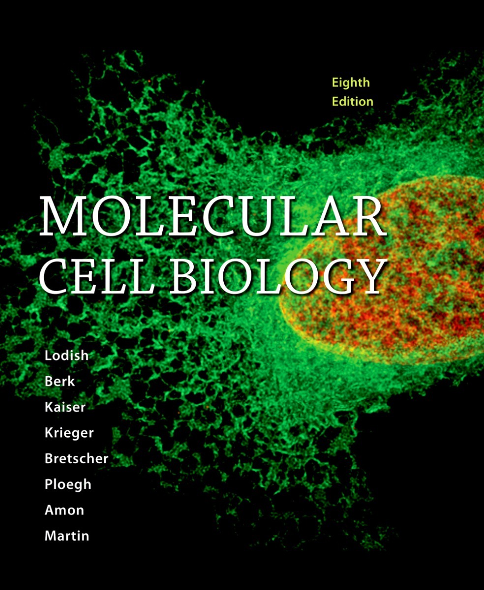 Molecular Cell Biology
