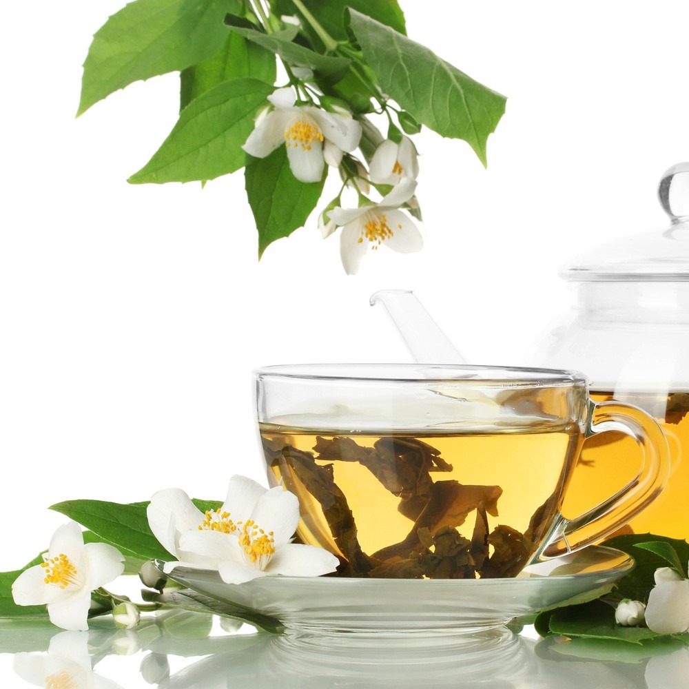 Mudas De Chá Verde - Camélia Sinensis - Já Produz! - R$ 55,00 em