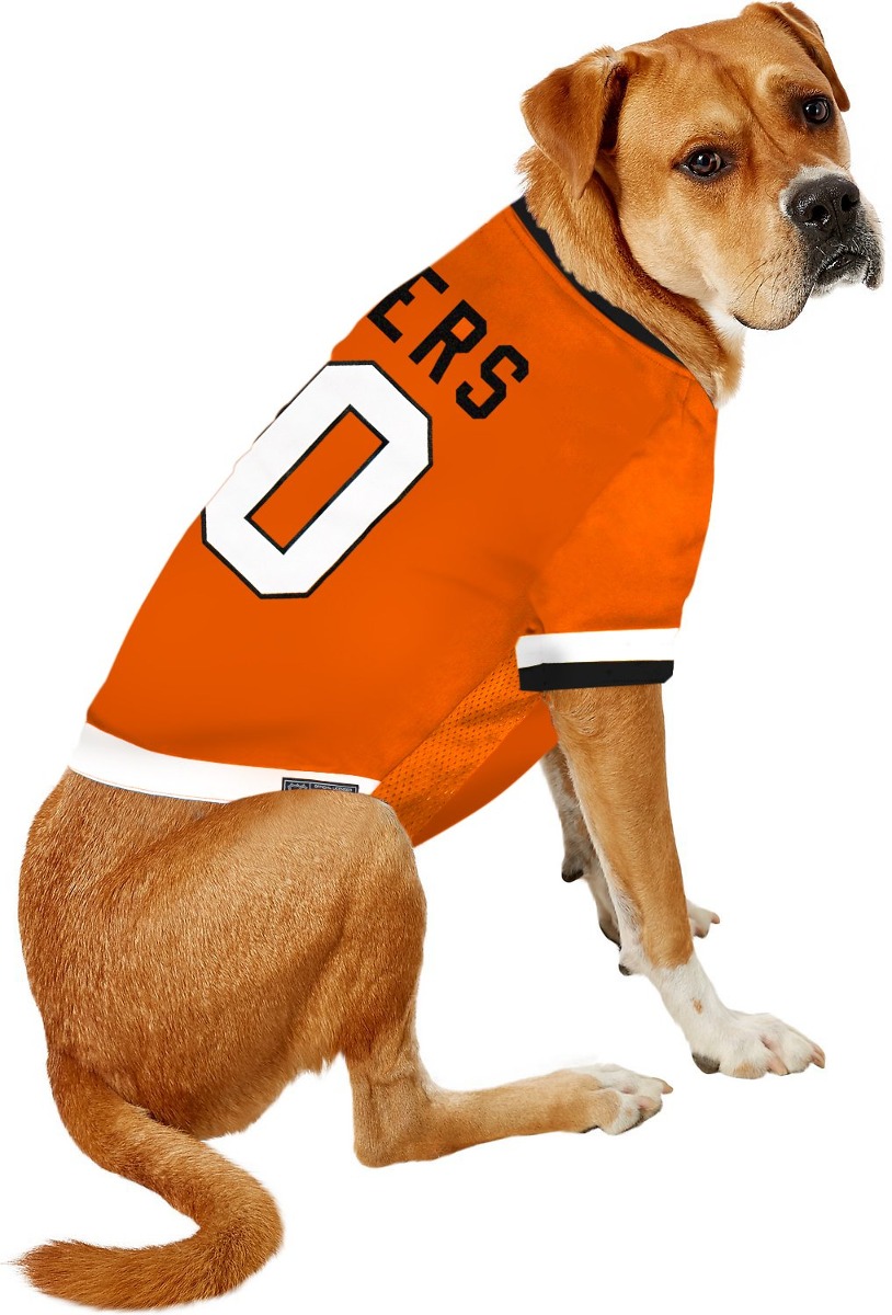 nhl dog jersey