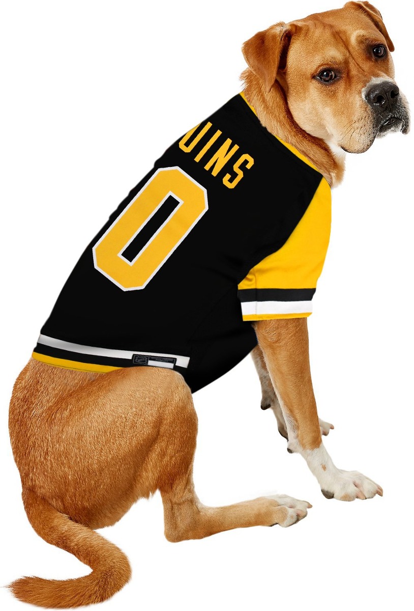 baylor dog jersey