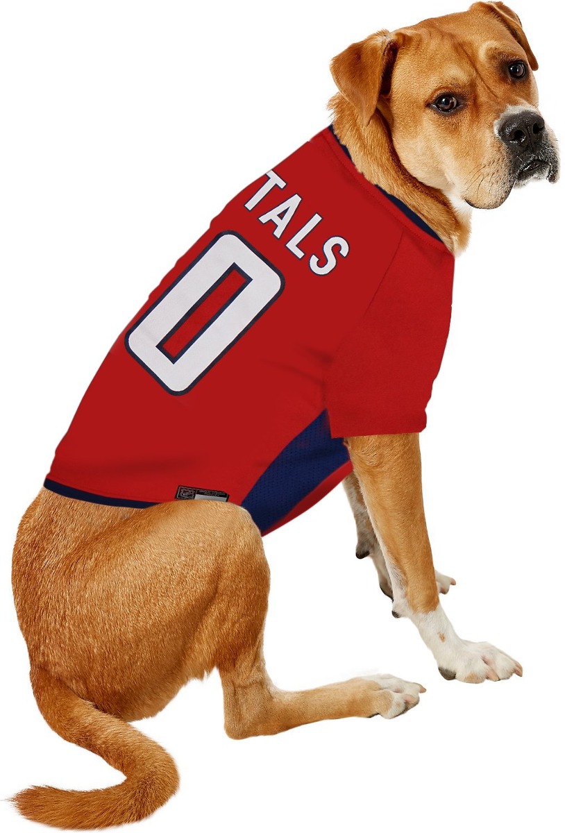 washington capitals dog jersey