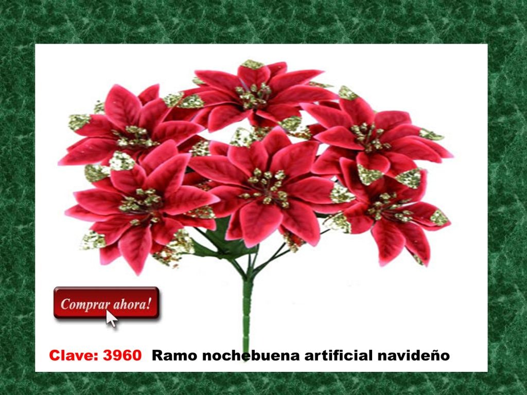 Nochebuenas Navideñas Bfn - $ 68.00 en Mercado Libre