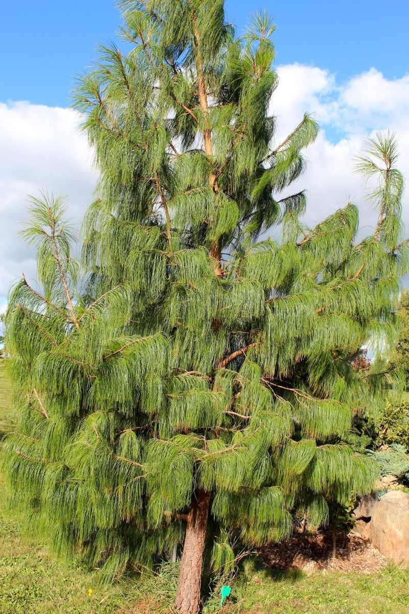 la pine oregon la pine oregon