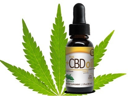 cbd oil effects on stomach