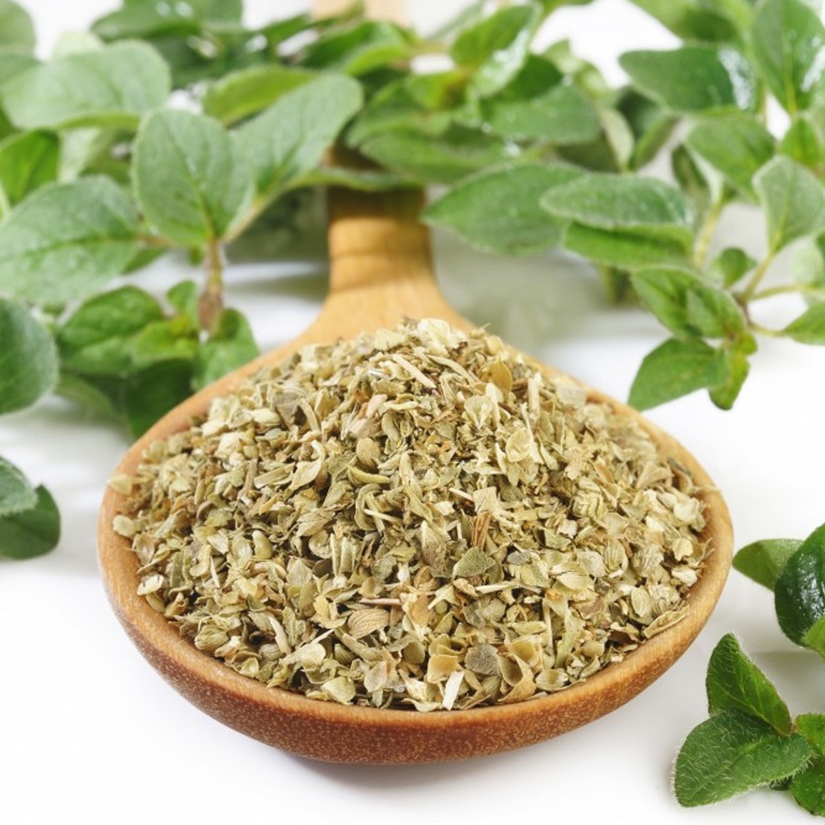 Oregano In Marathi Orégano Desidratado Pacote Com 1 Kg - R$ 29,90 em Mercado Livre