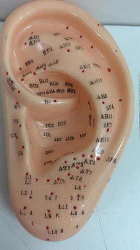 Orelha Com Pontos De Acupuntura Auriculoterapia 13 Cm - R$ 54,99 em Mercado Livre