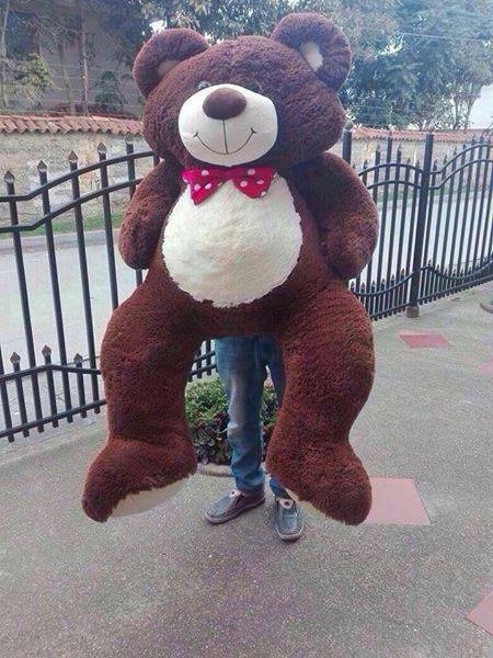 regalo peluche gigante