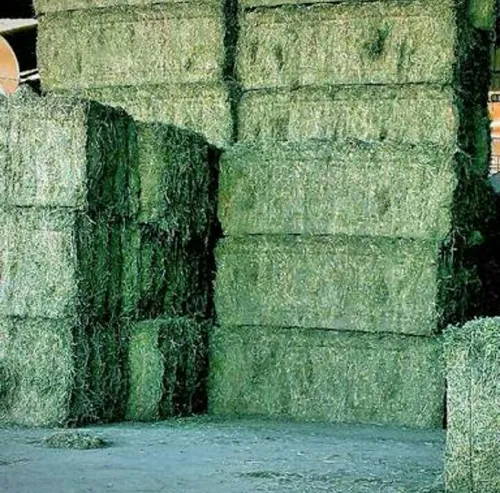 pacas de alfalfa. de primera 90