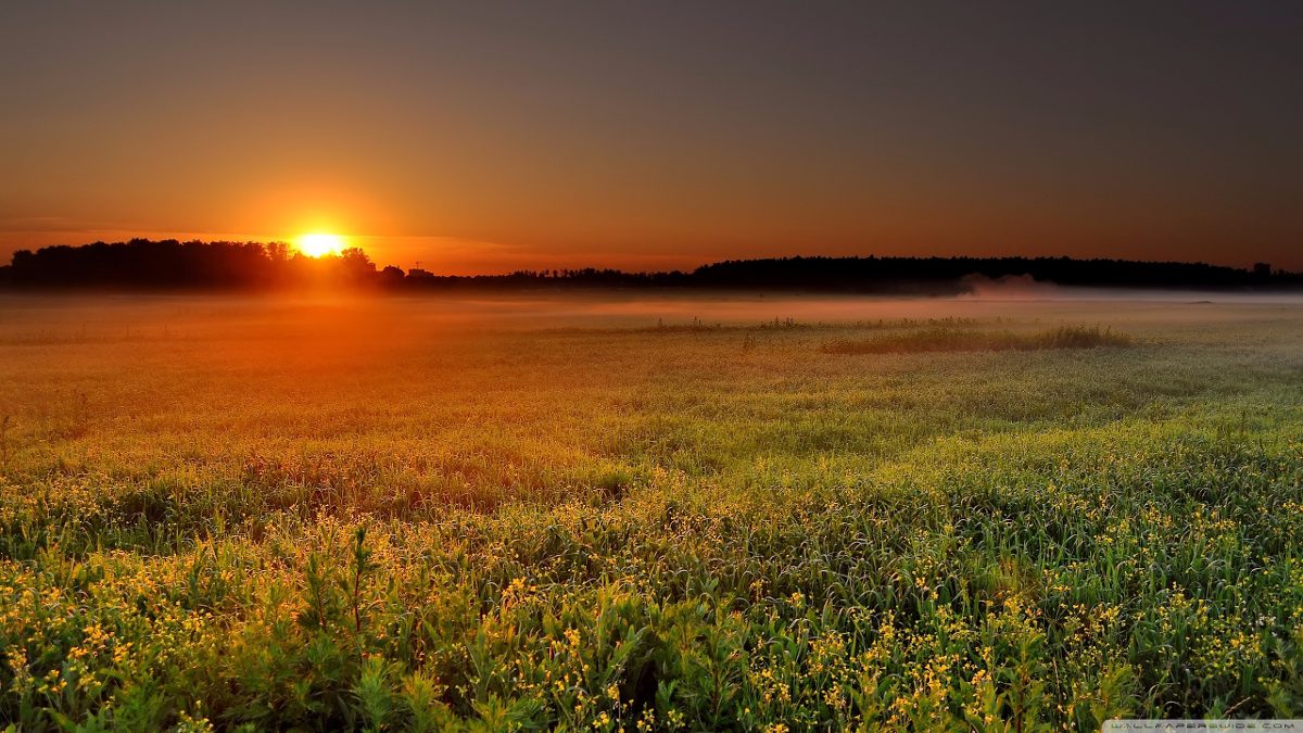 Papel De Parede Sol Por Do Sol Natureza M² R 4119 Em Mercado Livre