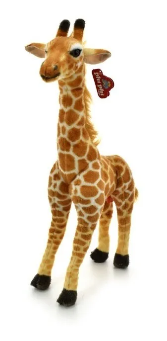phi phi peluches
