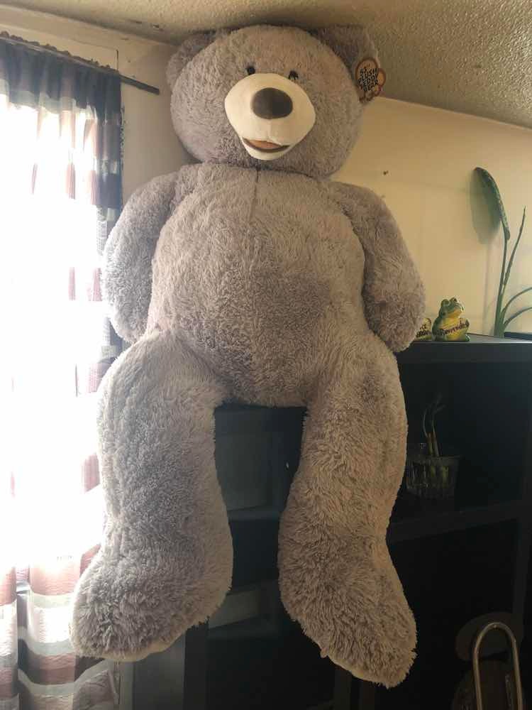 teddy bear gigante