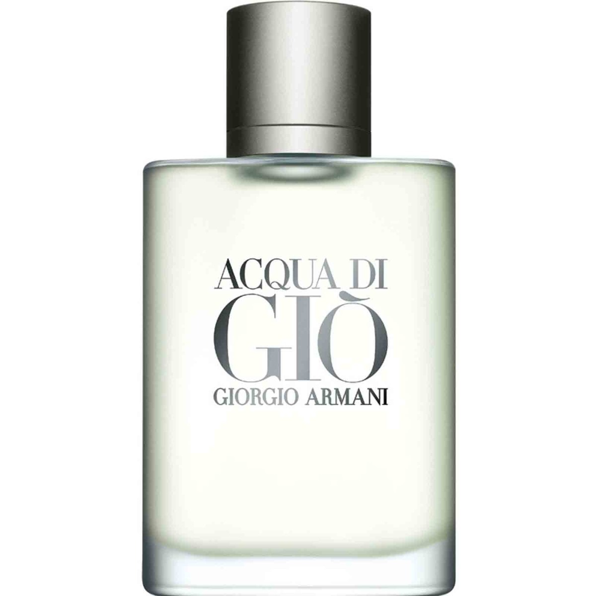 Perfume Acqua Di Gio 100ml Giorgio Armani Original E ...
