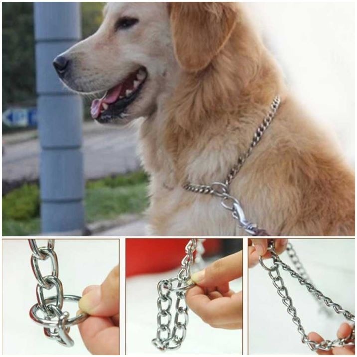 Collares De Castigo Para Perros collares-de-castigo-para-perros