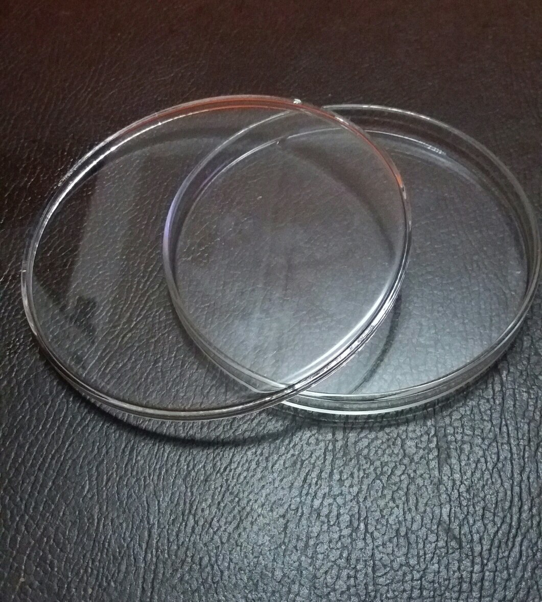 100mm Placa de Petri en cristal borosilicato para Resina