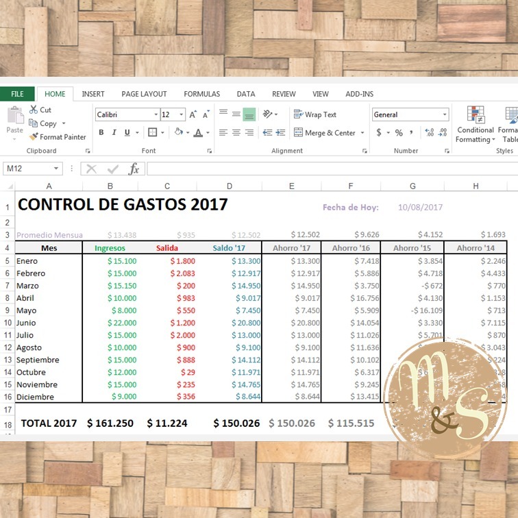 Planilla Excel Personalizada Para Control Gastos Hogar Pyme 69000