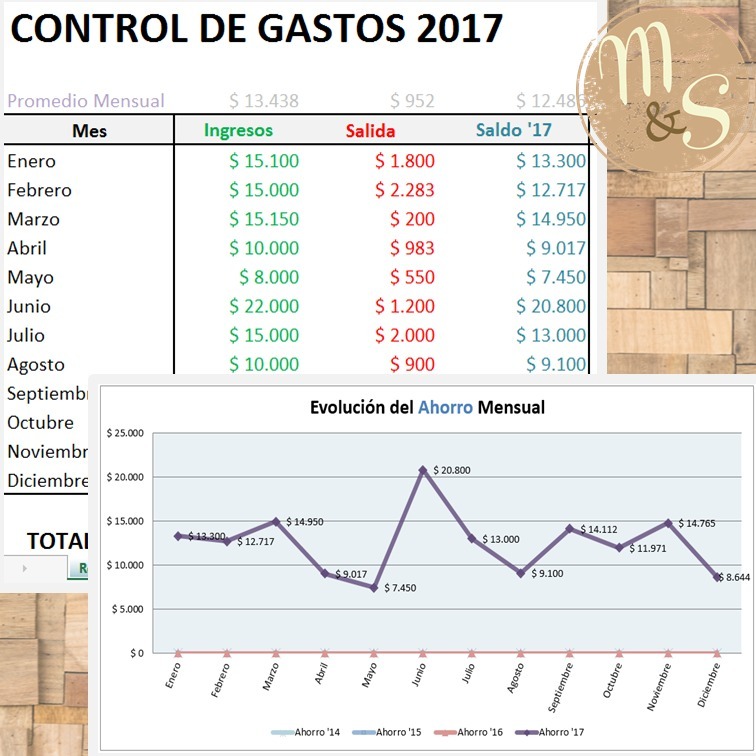 planilla excel personalizada para control gastos hogar pyme 670 control de gastos