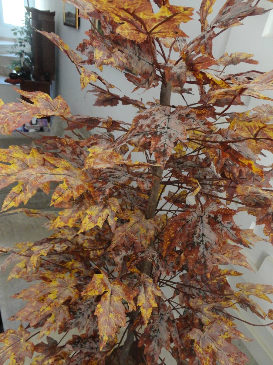 Planta Artificial Arvore Folha Canadense Outono 1 60mt Altur R