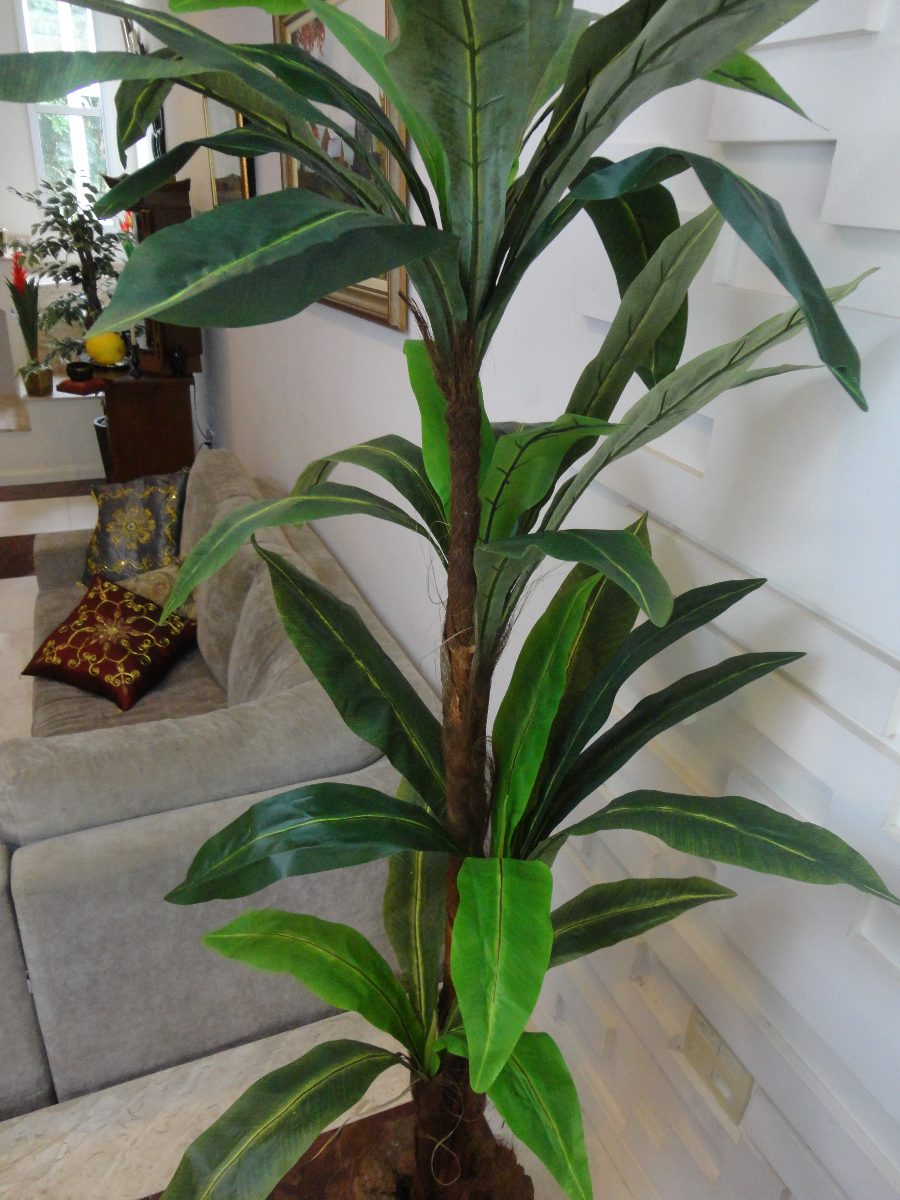 Planta Planta