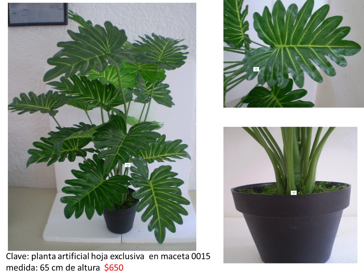 Plantas Decorativas Interior Artificiales Plantas Decorativas Interior Artificiales
