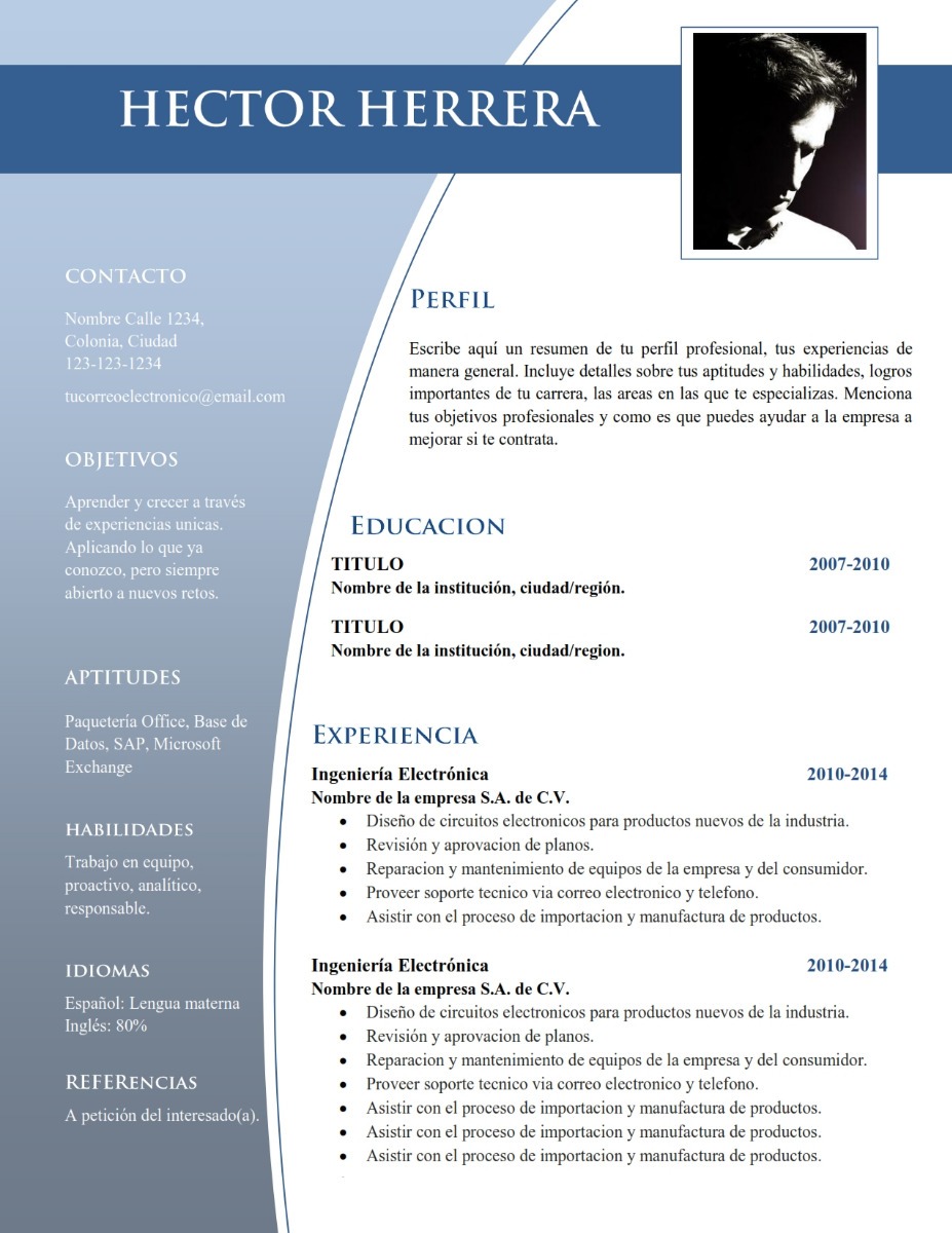 Curriculum Vitae Logros Profesionales