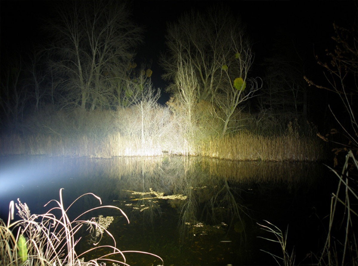 SP Pond Light