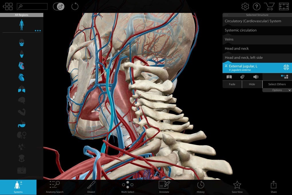 visible body 3d human anatomy atlas for windows visible body 3d human anatomy atlas for windows