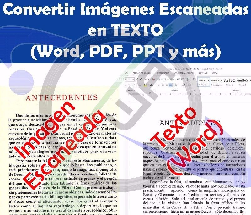 programa para convertir pdf imagen a word formato editable formato brochure word