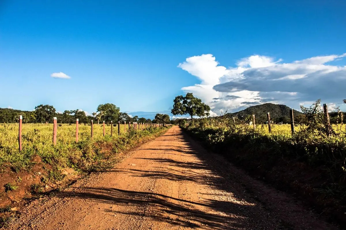Há Uma Estrada De Pedra Que Passa Na Fazenda