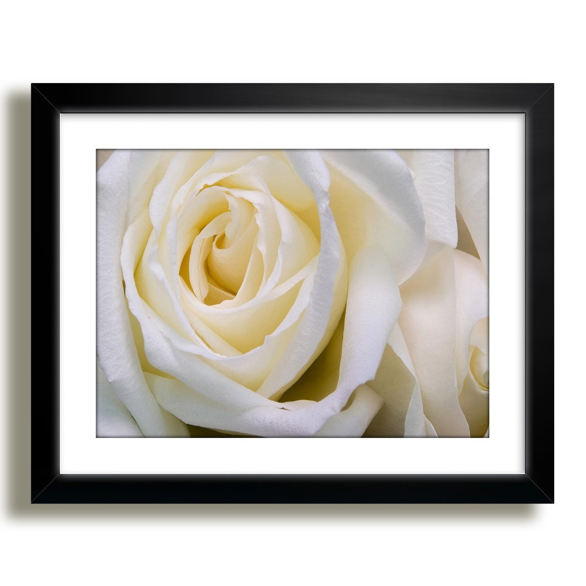 Quadro Flores Rosa Branca Jardim Moderno Cozinha Nac Decor R 75 Quadro Flores Rosa Branca Jardim Moderno Cozinha Nac Decor R 75