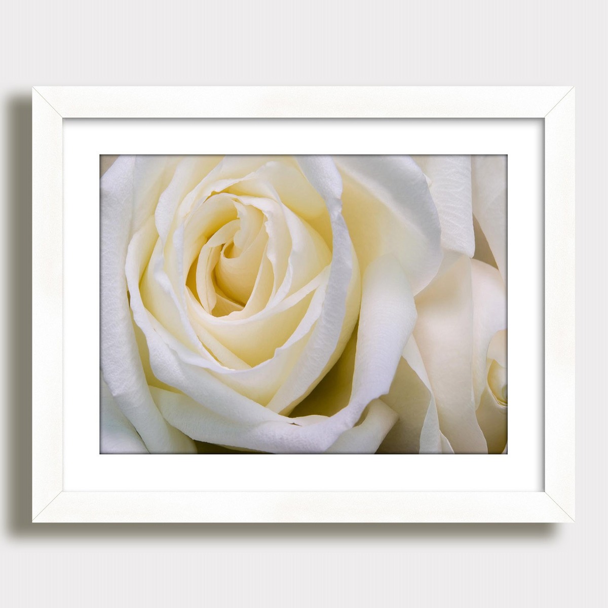 Quadro Flores Rosa Branca Jardim Moderno Cozinha Nac Decor R 75 Quadro Flores Rosa Branca Jardim Moderno Cozinha Nac Decor R 75