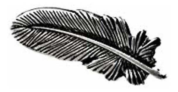 Quality Handcrafts Guaranteed Feather Lapel Pin LPSM18