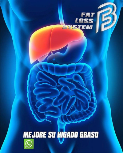 como perder grasa corporal sin perder peso como perder grasa corporal sin perder peso