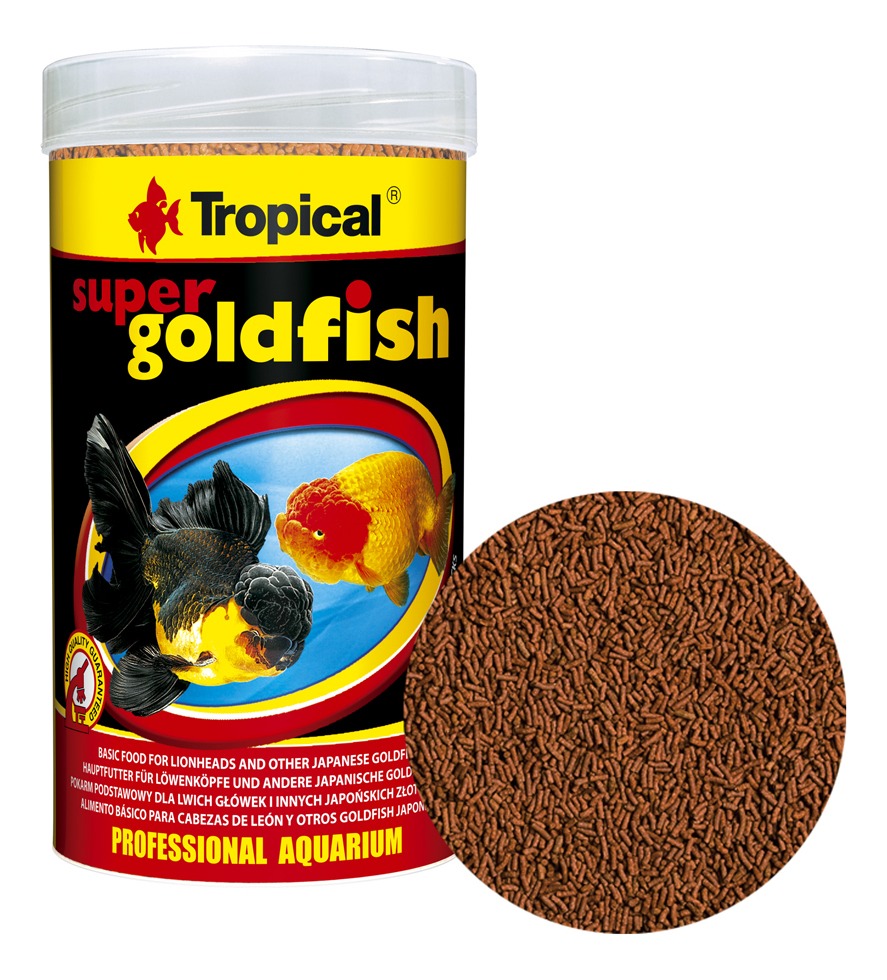 tropical super goldfish