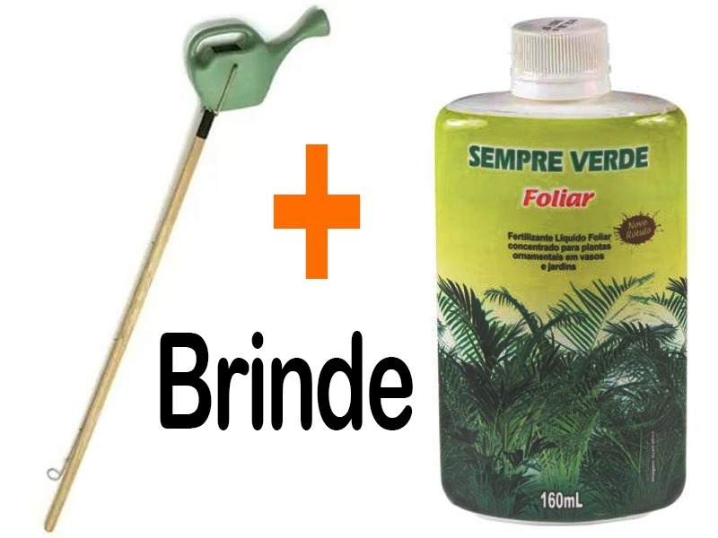 Regador De Plantas Com Cabo Extensor Regador Cabo Madeira Plantas Suspensas Samambaia 1l +brinde - R$ 34,90