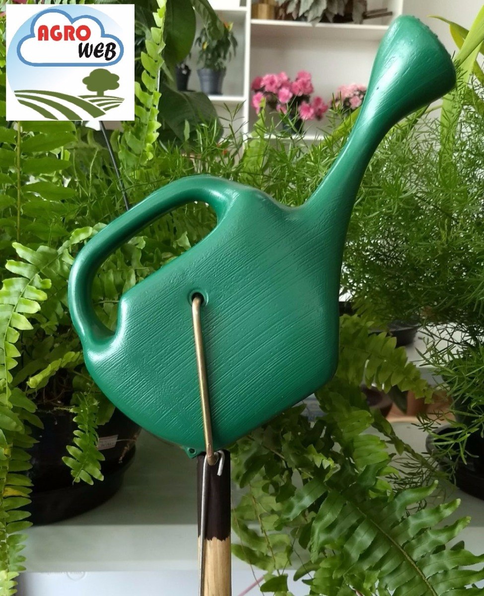 Regador De Plantas Com Cabo Extensor Regador Plantas Suspensas Samambaias Cabo Especial 0,5 Litro - R$ 213