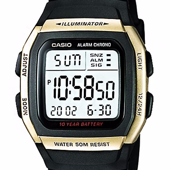 casio batteria casio batteria