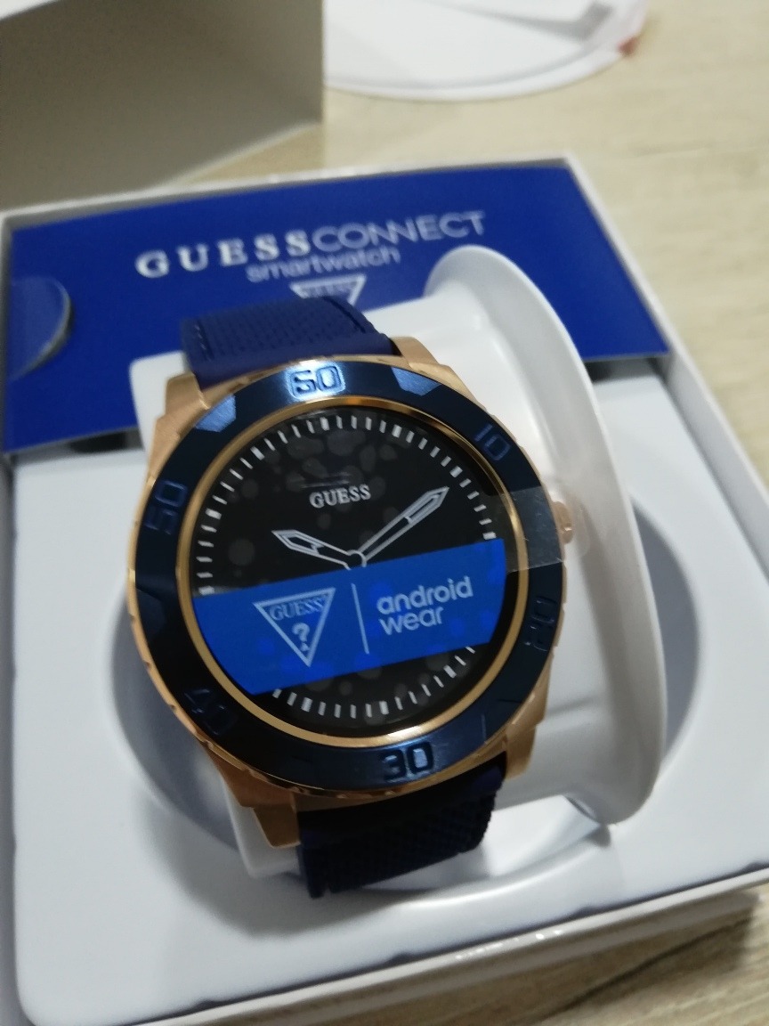 guess c1001g2