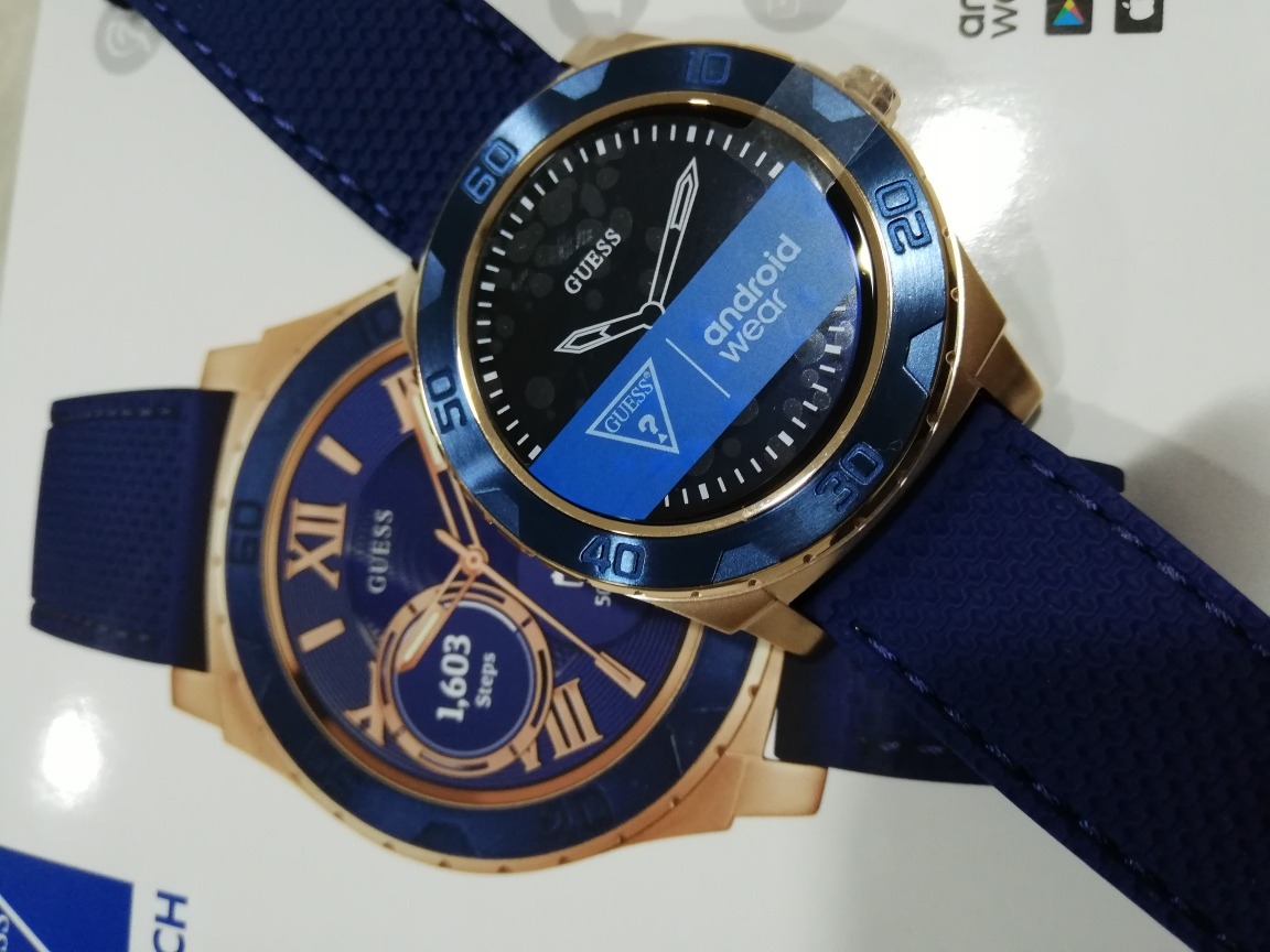guess c1001g2