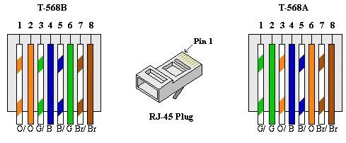 El wire cena