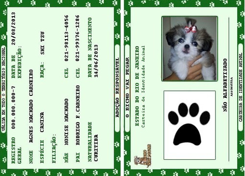 Rg - Carteira De Identidade Para Cães, Gatos E Outros - R 