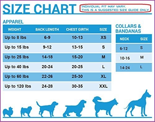 Football /& Basketball DOGS /& CATS SHIRT 5 Sizes available in 50+ SCHOOL TEAMS NCAA T-SHIRT COLLEGE PET OUTFIT COLLEGIATE DOG SHIRT Durable SPORTS PET TEE DOG TEE SHIRT